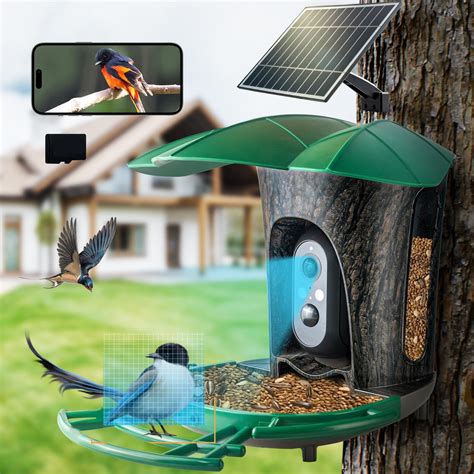 Amazon.com : NETVUE Birdfy® Smart Bird Feeder with Camera, Bird ...