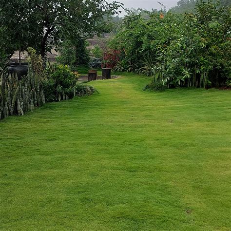 THE CHAVNI (Aundholi) - Campground Reviews & Photos - Tripadvisor