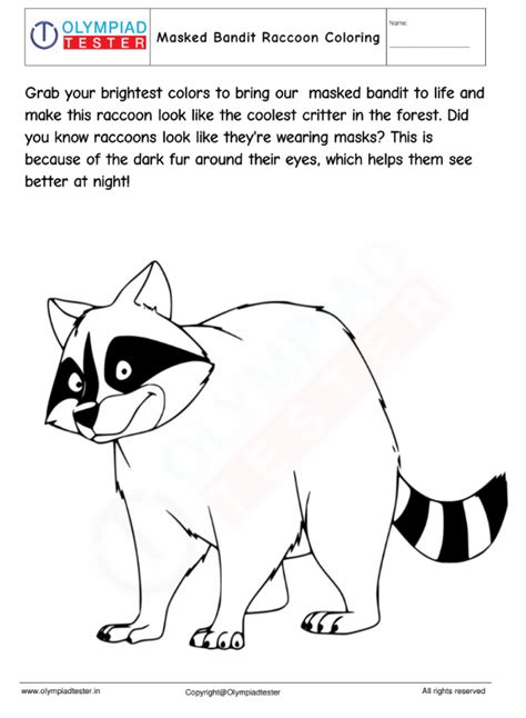 Masked Bandit Raccoon Coloring Page – Olympiad tester