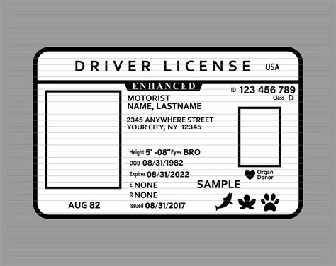 Drivers License Template