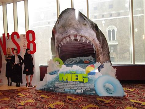 Biggest Megalodon Shark Still Alive How That Giant Shark Got Into The