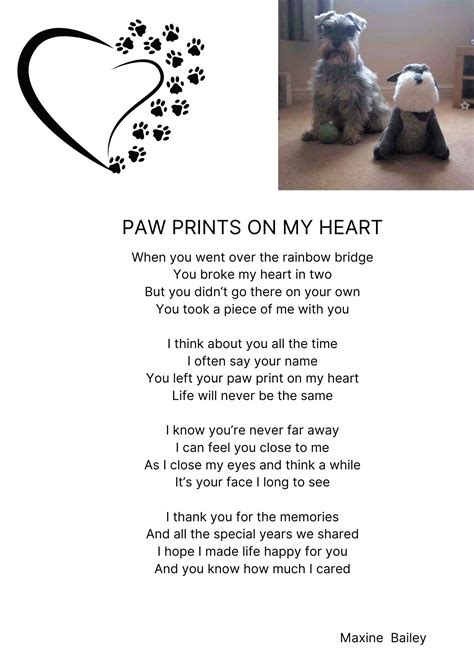 Pet Loss Poem/pet Memorial Poem/loss of a Dog/cat/mans Best Friend. A4 ...