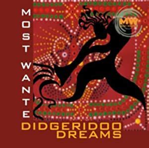 Most Wanted:Didgeridoo..: Various: Amazon.in: Music}