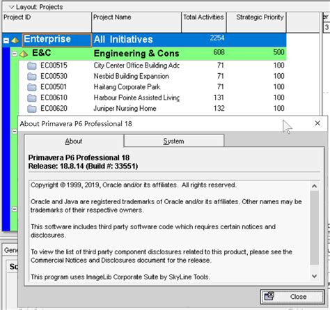 Image result for Oracle Primavera P6 Software Invoice