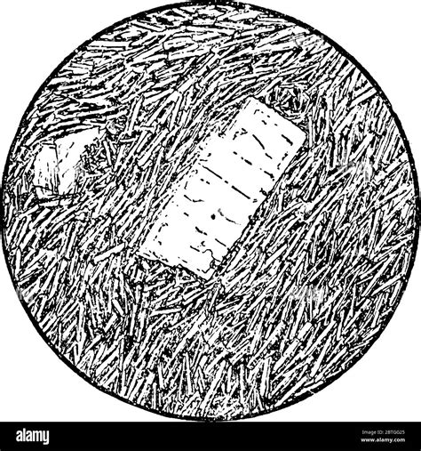 Metamorphic Rocks Drawing