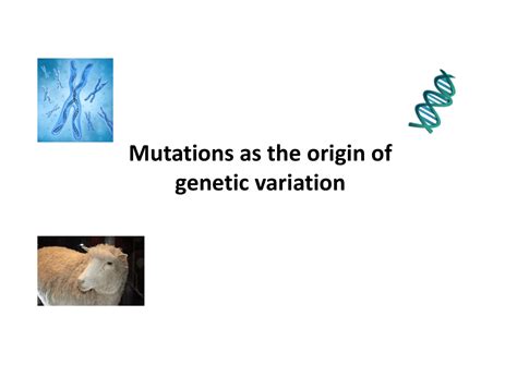 Image result for Mutation as a Source of Variation