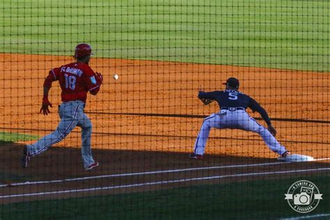 Image result for Spring Training 2018