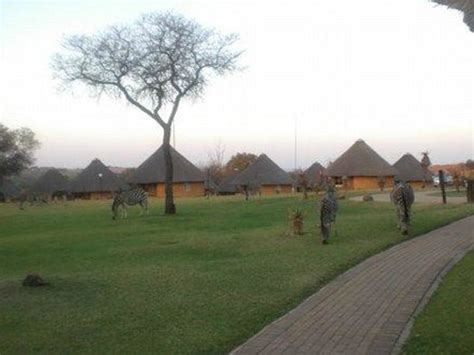 HEIA SAFARI RANCH (Muldersdrift, Gauteng) - Ranch Reviews & Photos ...