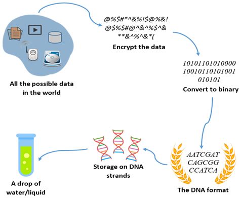 Water Is a Viable Data Storage Medium: A Security and Privacy Viewpoint