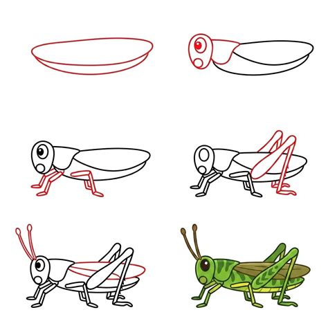 10+ Easy and Cute Grasshopper Drawing Ideas - Drawing Photos
