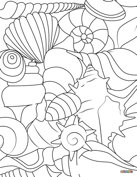 Image result for Shellfish Coloring Pages