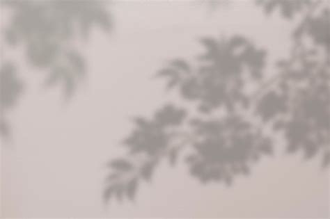 Tree shadow Images - Free Download on Freepik
