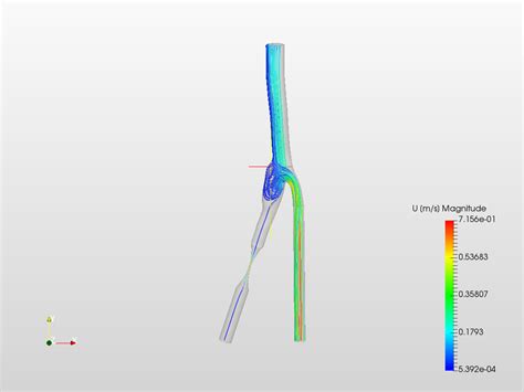 Rezultat imagine pentru Blood Flow Process