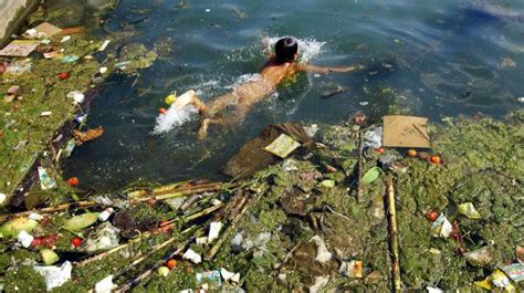 Resultado de imagen de problemas ecológicos