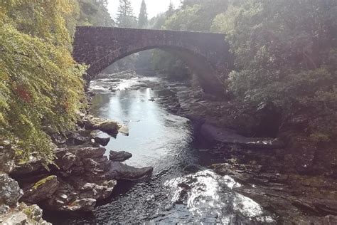 NESS MINI COACHES (2025) All You Need to Know BEFORE You Go (with ...