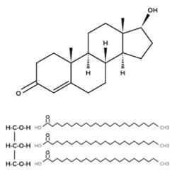 Lipids and Membranes - Biology and Biochemistry for MCAT PDF Download