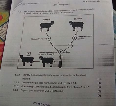 Biotechnology Process Steps Diagram 的图像结果