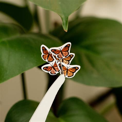 Buy Butterfly Stickers Online In India - Etsy India