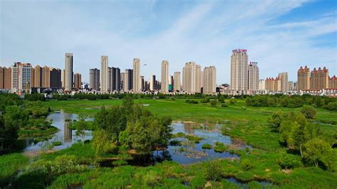哈尔滨市水务局发紧急通知：盯紧水库、河流、山洪易发区_腾讯新闻