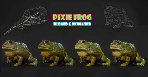 Image result for 2D Unity Tutorial Frog