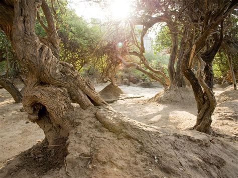 Places to visit in Mathura and Vrindavan for a perfect weekend | Condé ...