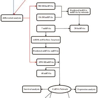 Image result for Python Flowchart Examples Topic Wise Data Collection