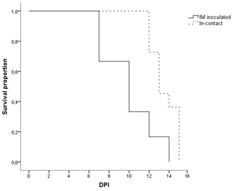 Clinical Course and Gross Pathological Findings in Wild Boar Infected ...