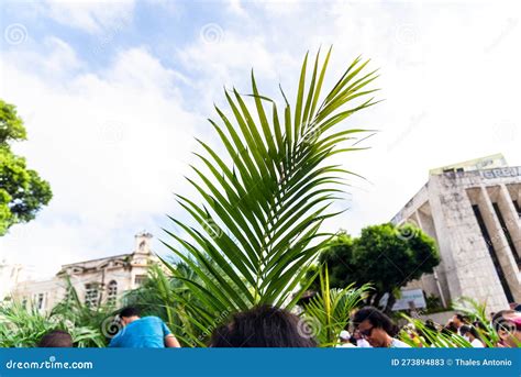Catholic Worshipers Hold Palm Branches for Palm Sunday Mass Editorial ...