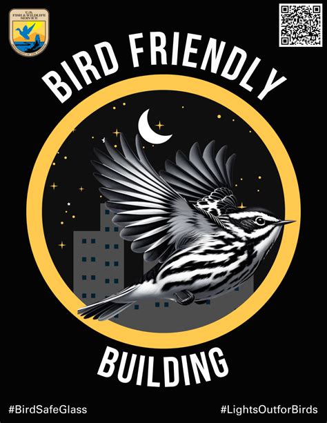 Bird friendly building | FWS.gov