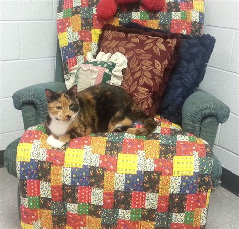 Sponsor an Animal | Shenandoah County, VA