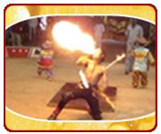 Welcome to Jumbo Circus / Programmes