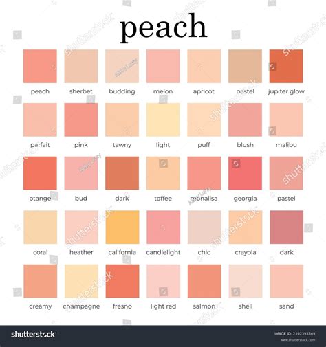 Peach Color Palette Color Shades Colour Stock Vector (Royalty Free ...