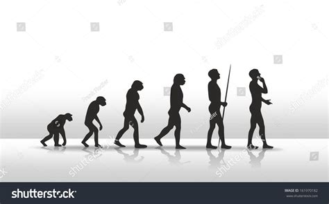 Funny Human Evolution Chart 的图像结果