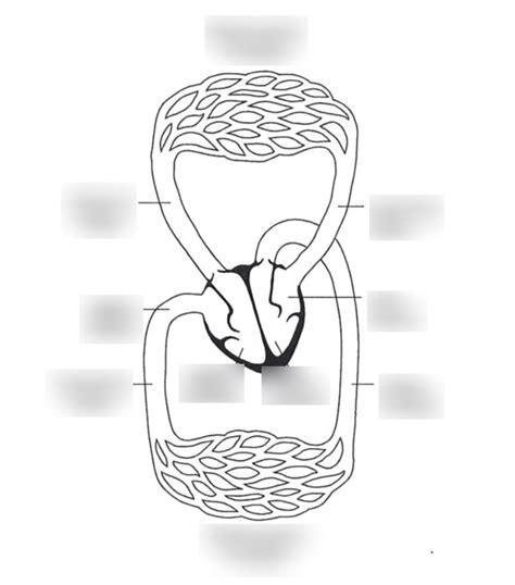 Cardiology 的图像结果