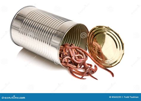 Open can of worms stock image. Image of business, opening - 8565239