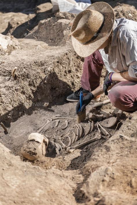 Archaeology 的图像结果