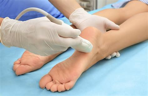 Diagnostic Ultrasound and Anatomy of the Foot and Ankle : The Basics ...