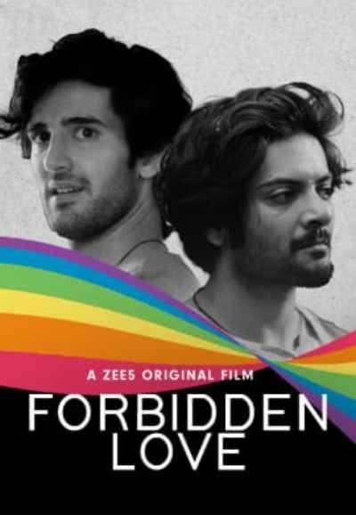 Watch Mirzapur Web Series Online, All Seasons and Episodes | Hindi Show ...