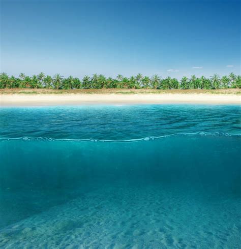 Image result for Parting Surface