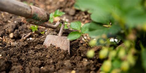 Image result for Hoe Problem