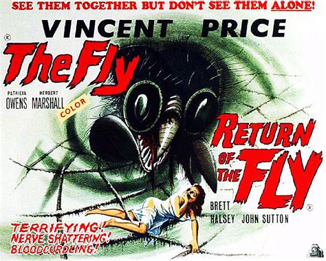 Return of the fly