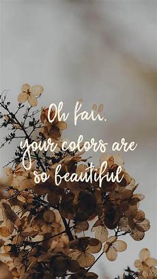 Aesthetic Fall Wallpaper Iphone by Jo Judy Wallpaper October Phone Jpg 2250 215 4000 Fall Aesthetic Fall Wallpaper Iphone