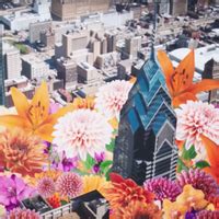 Ninja Tune - Videos & Short Films About Ninja Tune