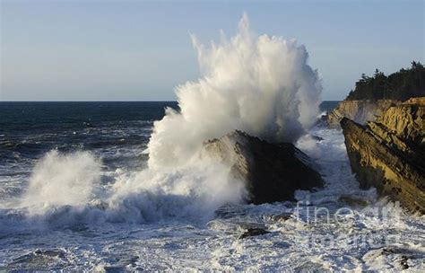 Image result for shore acres waves