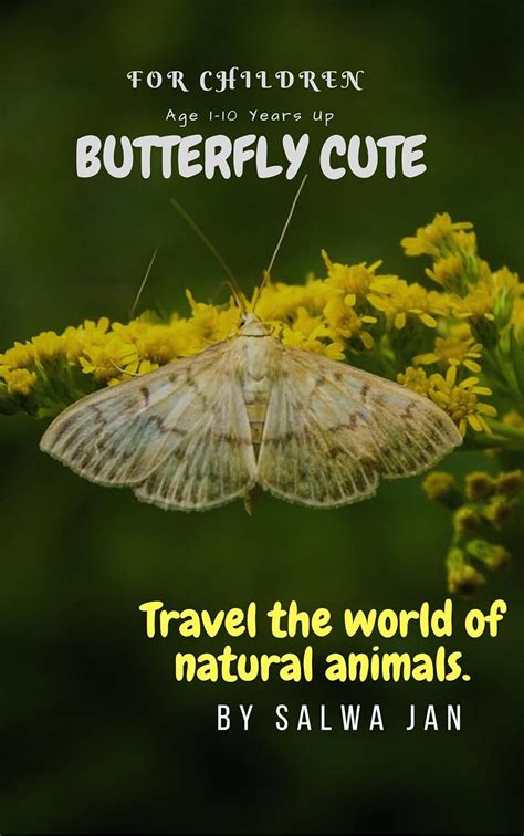 BUTTERFLY CUTE PHOTO BOOK: BUTTERFLY CUTE PHOTO BOOK for CHILDREN eBook ...
