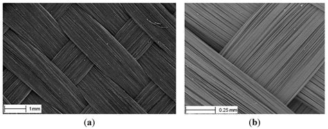 Synthesis of Carbon Nanofibers on Large Woven Cloth