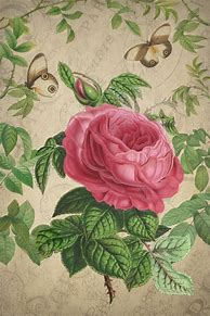 Image result for Vintage Floral Foliage Wallpaper