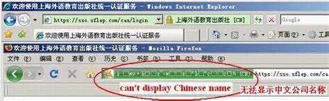 VeriSign SSL 的图像结果