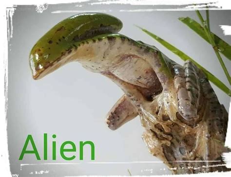 Image result for Alien vs Crazy Frog