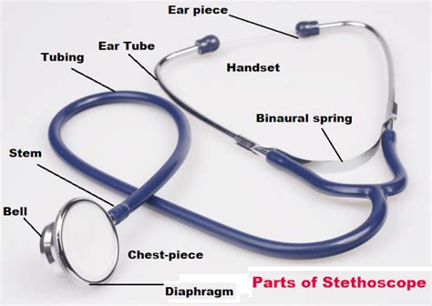 Stethoscope Different Types 的图像结果